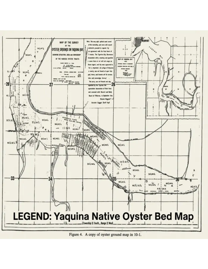 Yaquina Bay Oyster Bed Map